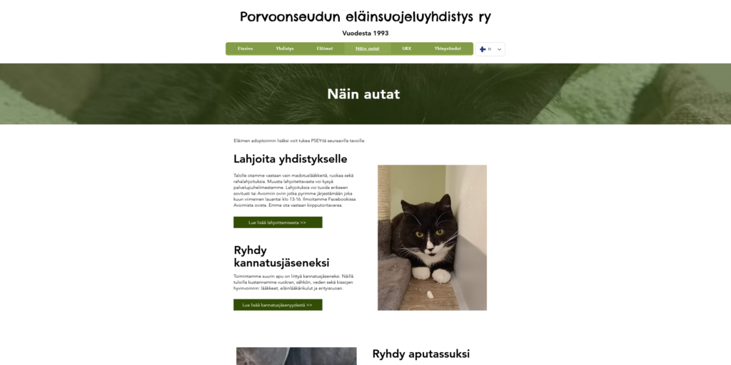 Tavat tukea PSEYn toimintaa, mutta laajempana yhteenvetona