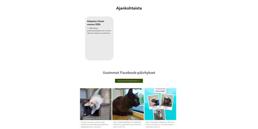 Ajankohtaista- ja Facebook-syötteet